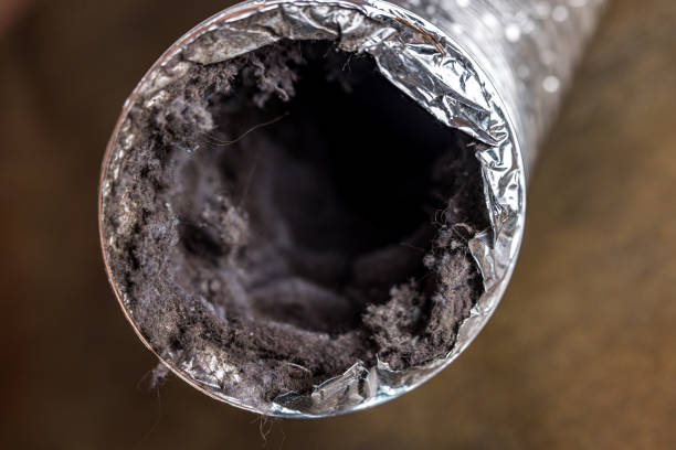 Best Local Air Duct Cleaning Services  in Prattville, AL